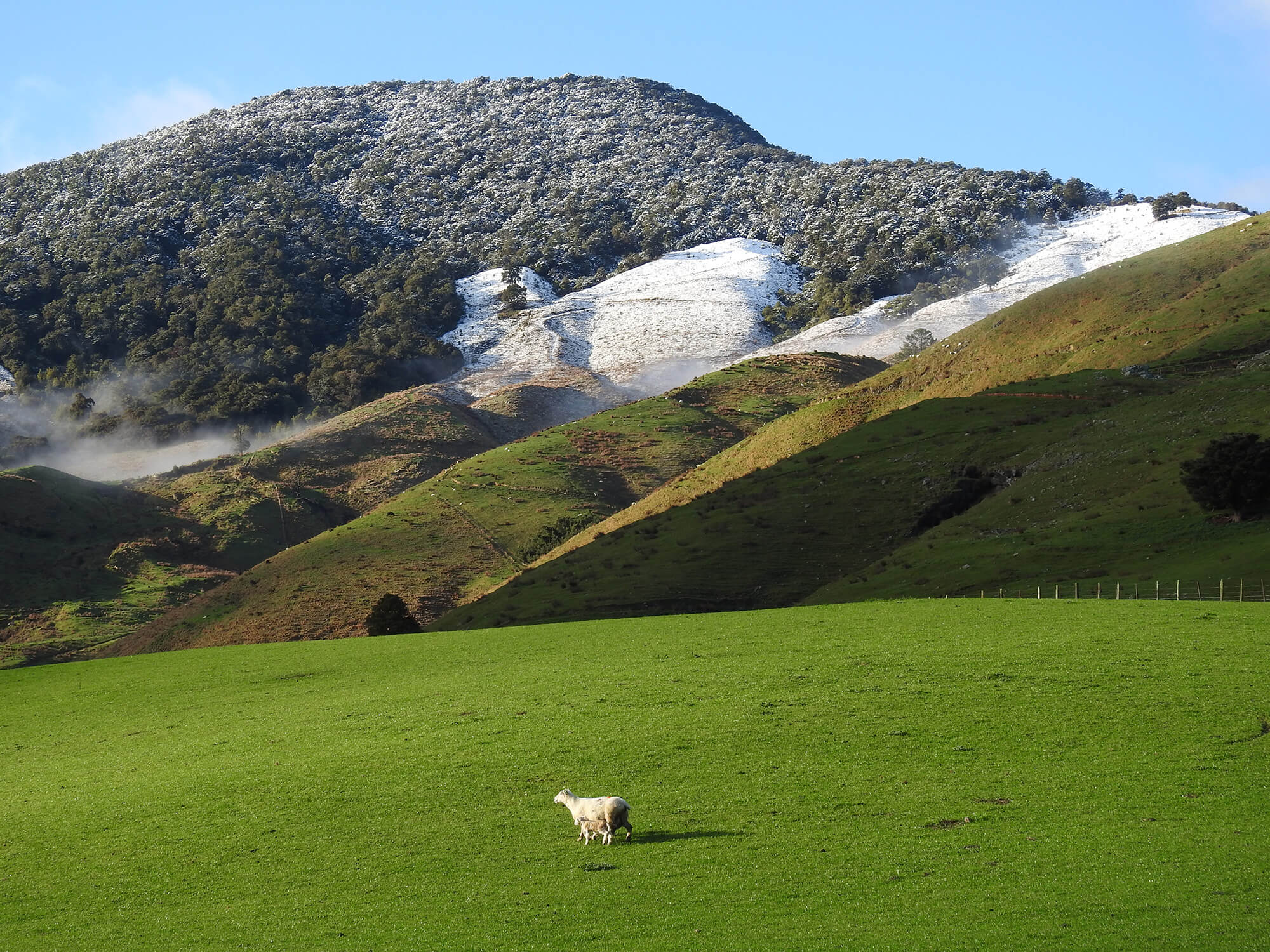 Kaituna Ridges - Stud
